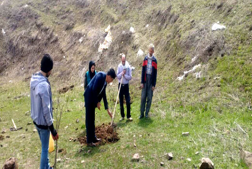 کشت سماق برای اولین بار در شهرستان اهر