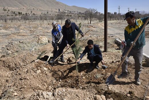 کاشت ۲۵۰ اصله نهال در دانشگاه شهرکرد