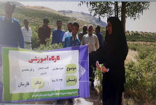 برگزاری 10 دوره مهارتی ،آموزش کشاورزی در شهرستان فارسان