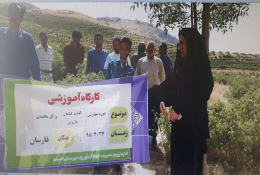 برگزاری 10 دوره مهارتی ،آموزش کشاورزی در شهرستان فارسان