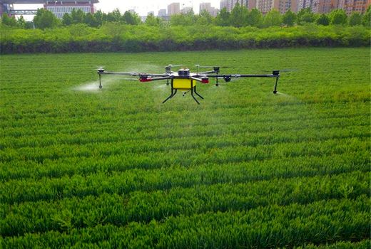 14000 هکتار از  مزارع غلات استان البرز علیه عوامل خسارتزای آفات و علف های هرز سمپاشی شد