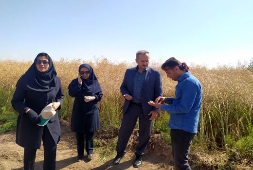 ثبت ۱۴ هزار و ۷۰۰ هکتار کشاورزی قراردادی در شهرستان تبریز