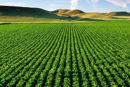۸۰ هکتار زمین به سرمایه‌گذاران در شهرک‌های کشاورزی آذربایجان غربی واگذار شد