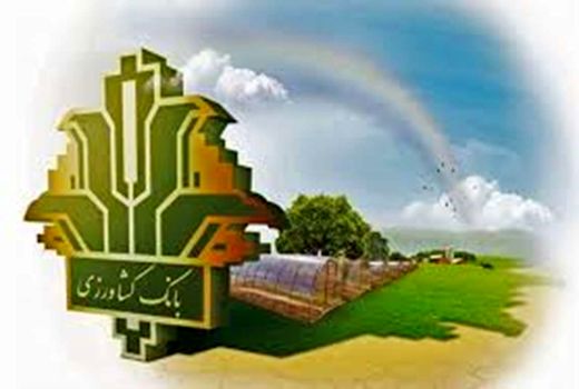 اثرگذاری بانک کشاورزی در مدیریت پایدار منابع پایه با حمایت 43 هزار میلیارد ریالی از توسعه گلخانه‌ها