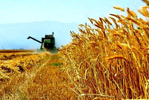 امنیت آبی شرط ضروری برای امنیت غذایی است