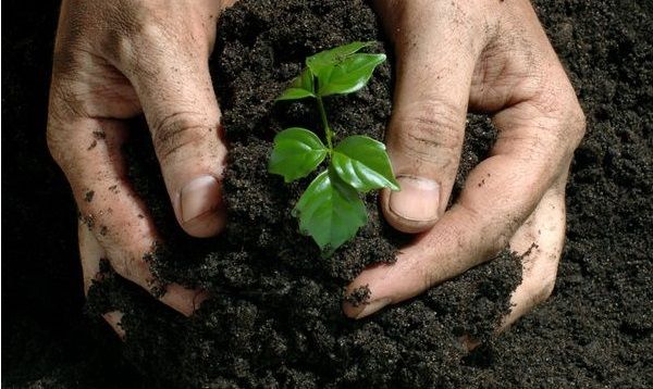 سلامت خاک سریال می‌شود