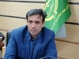 آغاز به کار اولین واحد فرآوری و بسته بندی کشمش در استان کرمانشاه