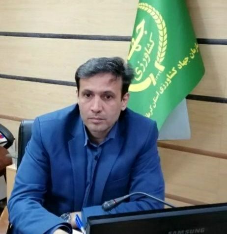 آغاز به کار اولین واحد فرآوری و بسته بندی کشمش در استان کرمانشاه
