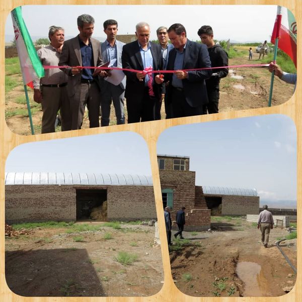 افتتاح طرح بره پرواری 300 راسی در روستای بیانچولی شهرستان شوط 
