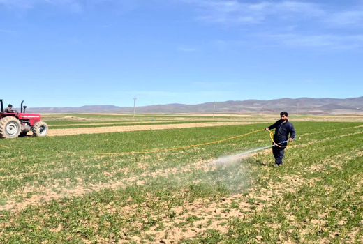 اجرای دو طرح ملی برای تقویت بهره‌وری مزارع دیم در روستای آق‌بابا قزوین