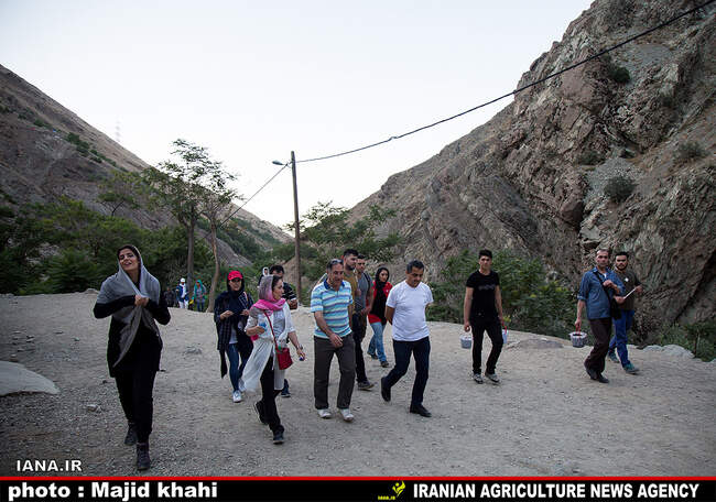 کوه پیمایی