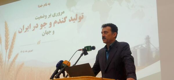 گندم آبی باید بر اساس میزان دسترسی به آب مدیریت شود