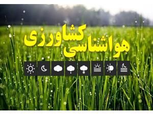 توصیه های کارشناسی به کشاورزان در پی کاهش دما
