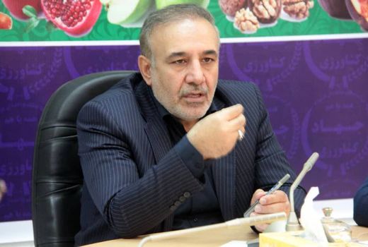 ۲۱۳۶ هکتار باغات مثمر در اراضی شیب دار استان لرستان کشت شده است