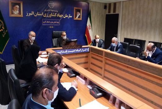 توسعه کشت های گلخانه ای از برنامه های محوری و اولویت دار استان البرز است 