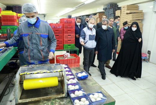 فعالیت ۳۶ واحد تولید قارچ در استان قزوین 