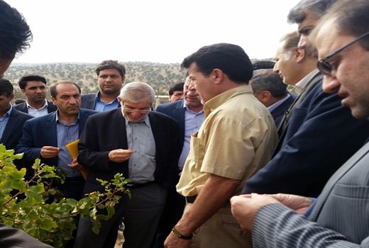 مشارکت بنیاد مستضعفان در توسعه طرح های کشاورزی