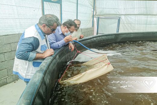 عدم بروز بیماری AHPND در مزارع پرورش میگوی خوزستان