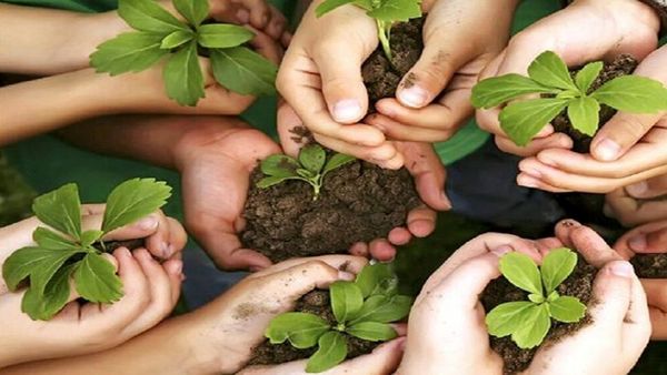 روز گیاه‌پزشکی یادآور اهمیت آموزش، ترویج و مشارکت مردمی در حفاظت از پوشش گیاهی است