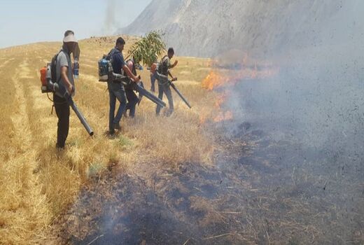 بیش از ۱۰۰ هکتار از پس چرای مزارع کشاورزان روستای شیخ‌مکان طعمه حریق شد