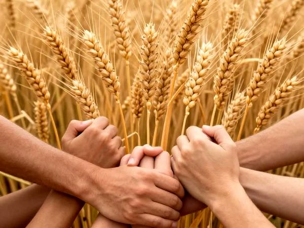 وحدت ملی، امنیت ملی، اقتصاد مقاومتی؛ سه ضلع کلیدی توسعه در شعار سال ۱۴۰۵