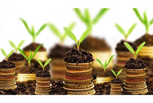 پرداخت 680 میلیارد تسهیلات بانکی به کشاورزان بابلی