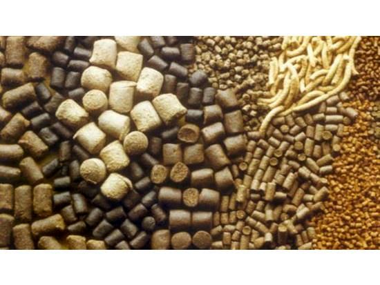 توزیع 3800 تن خوراک دام بین دامداران سوادکوه