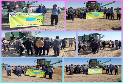 آموزش برداشت مکانیزه گندم در هندیجان