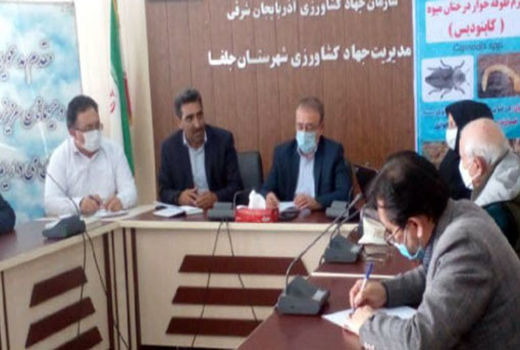 ارزیابی نتایج اقدامات کنترل تلفیقی آفت چوبخوار کاپنودیس در جلفا