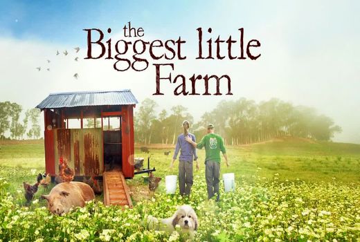 بزرگترین مزرعه کوچک دنیا