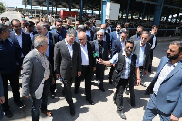 وزیر جهاد کشاورزی از یک واحد پرورش گاو شیری در بویین زهرا بازدید کرد