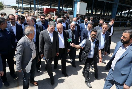 وزیر جهاد کشاورزی از یک واحد پرورش گاو شیری در بویین زهرا بازدید کرد