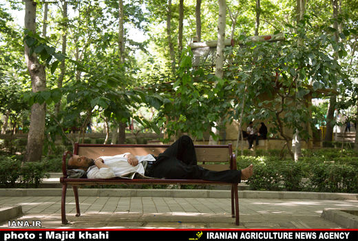 2000 مترمربع اراضی ملی دو زهیر سمنان به بوستان روستایی اختصاص یافت