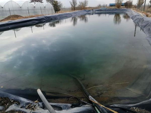 آغاز مرحله اول شناسایی پرورش ماهی در استخرهای ذخیره آب کشاورزی آذربایجان شرقی