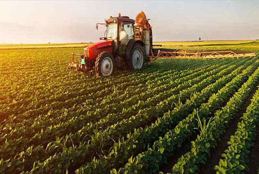 اجرای الگوی کشت در 60 درصد اراضی زراعی طی امسال