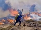  9جان‌باخته آتش‌سوزی جنگل‌ها «فداکار خدمت» شناخته شدند