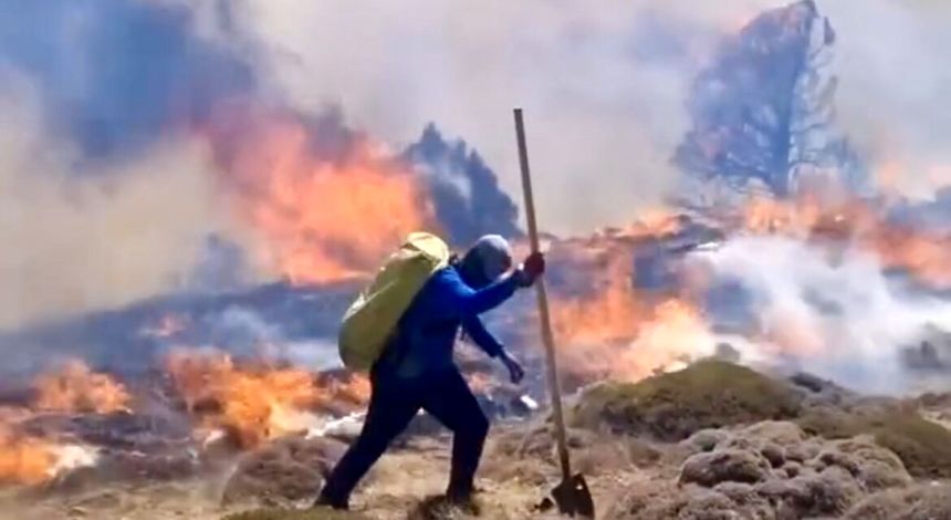  9جان‌باخته آتش‌سوزی جنگل‌ها «فداکار خدمت» شناخته شدند