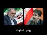 پیام تسلیت رئیس سازمان جهاد کشاورزی استان کرمانشاه در پی شهادت محسن فخری زاده