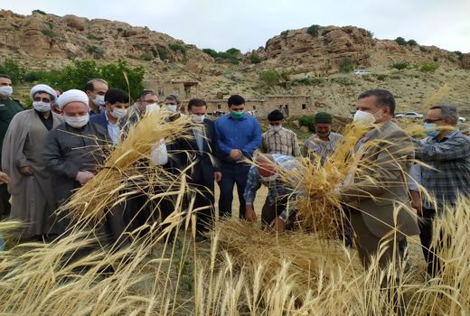 برگزاری جشن «خداقوت کشاورز» در شهرستان بجنورد