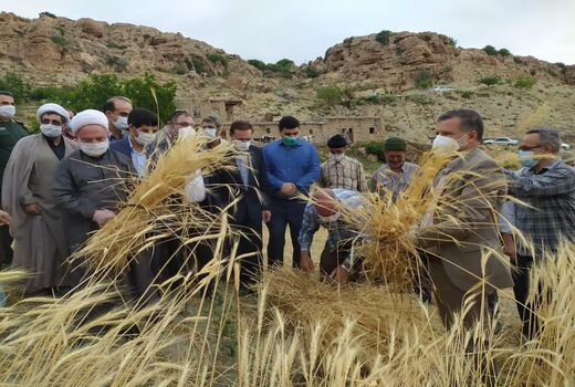 برگزاری جشن «خداقوت کشاورز» در شهرستان بجنورد
