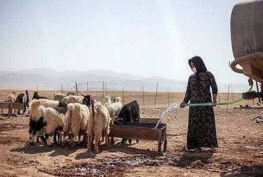 توانمندسازی کارشناسان امور عشایر خوزستان در مواجهه با خشکسالی