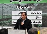 آذربایجان شرقی رتبه اول‌گلخانه های مدرن و هیدروپونیک  در کشور