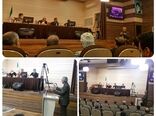 توزیع بالغ بر 50 درصد سهمیه آرد بهمن ماه خبازی ها در شش روز 