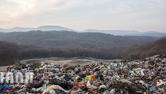زباله‌دانی به وسعت یک جنگل