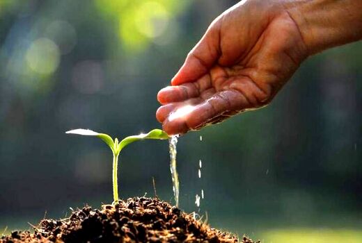 لزوم تغییر رویکرد در تحقیقات آب و خاک برای مقابله با بحران‌های جهانی و محلی