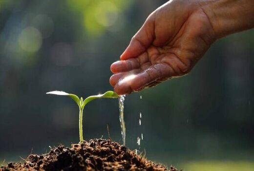 لزوم تغییر رویکرد در تحقیقات آب و خاک برای مقابله با بحران‌های جهانی و محلی
