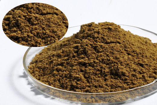 مجوز تولید پودر ماهی در بوشهر صادر شد 