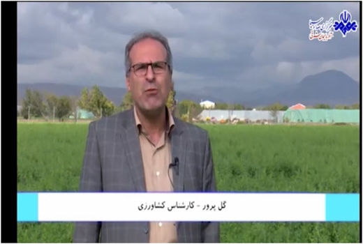 ارزش‌افزوده ۱۶۰ میلیارد ریالی توصیه‌های هواشناسی برای کشاورزی آذربایجان‌شرقی