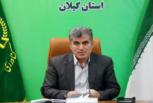 اجرای ۱۹۳ طرح مشاغل خانگی در بخش کشاورزی گیلان