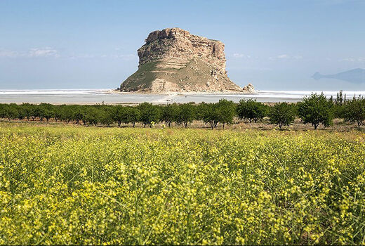 کاهش 40درصدی مصرف آب دریاچه ارومیه برای کشاورزی